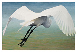 Egret in Flight