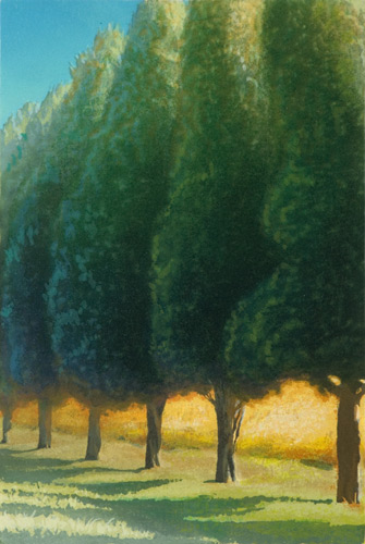 Row of Trees