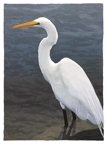 Magnificent Wader