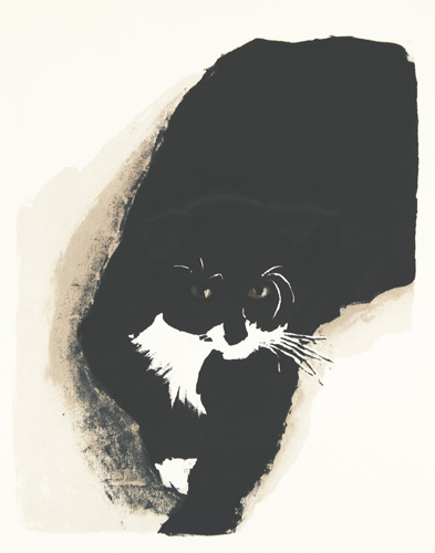 Pap’s Cat #2