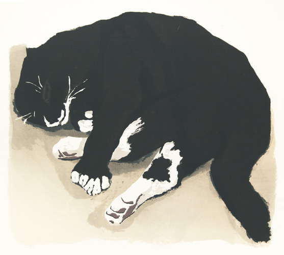 Pap’s Cat #3