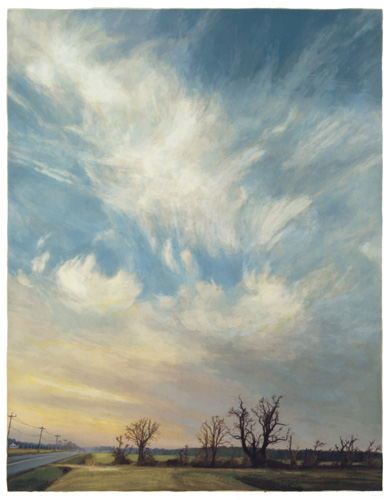 Sky and Trees